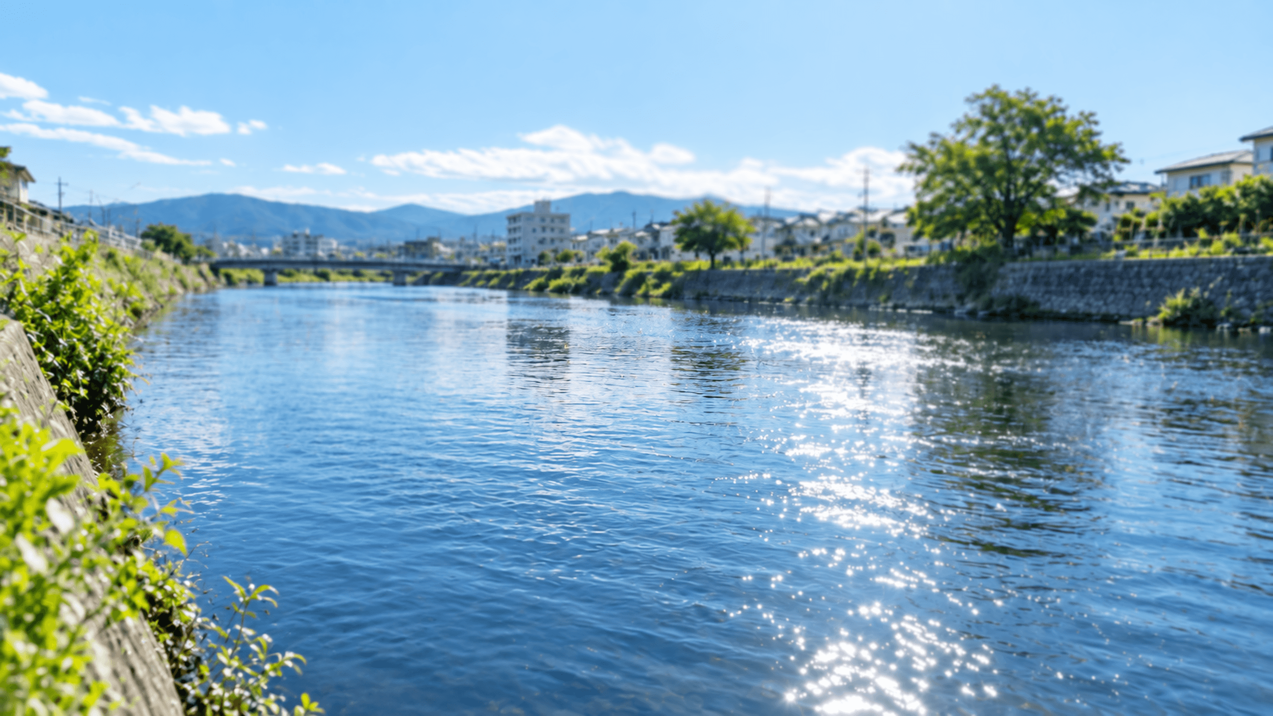 淀川の風景